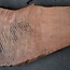 Redwood burl, approx. 1300 x 470 x 52 mm, 60799