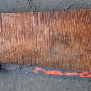 Redwood burl, approx. 1450 x 410 x 45 mm, 60800