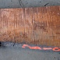 Redwood burl, approx. 1450 x 410 x 45 mm, 60800