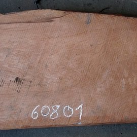 Redwood Maser, ca. 1300 x 510 x 50 mm, 60801