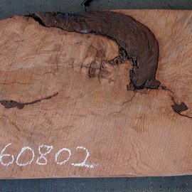 Redwood burl, approx. 1250 x 520 x 70 mm, 60802