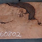 Redwood burl, approx. 1250 x 520 x 70 mm, 60802