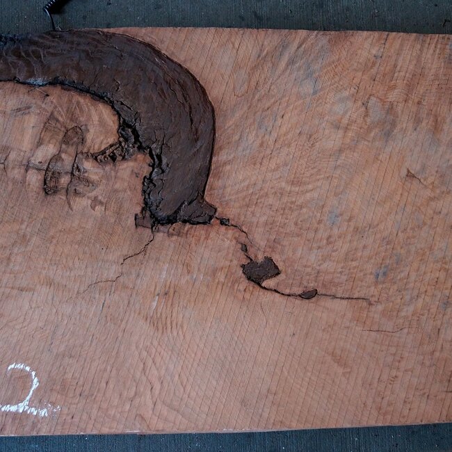 Redwood Maser, ca. 1250 x 520 x 70 mm, 60802