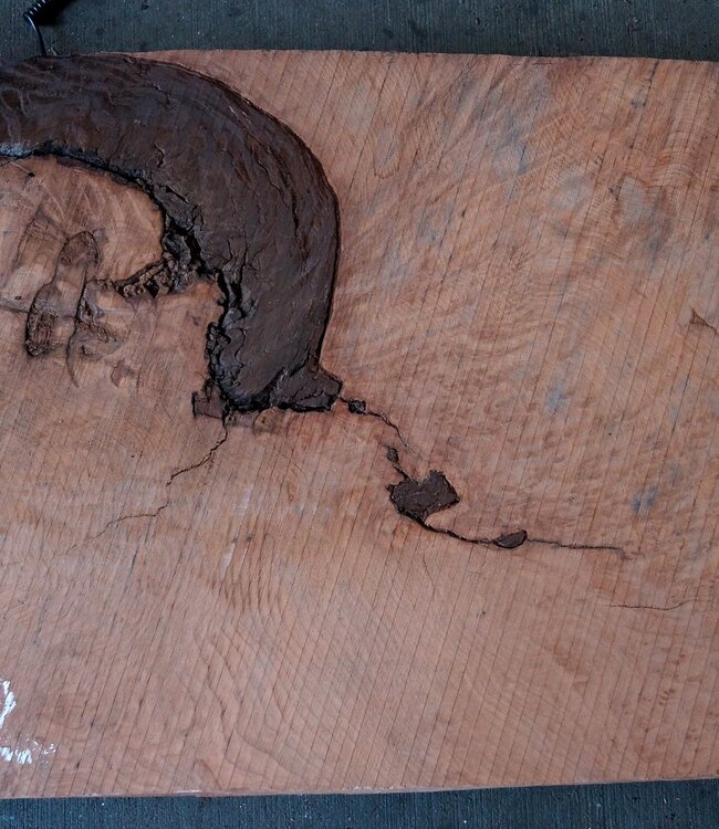 Redwood Maser, ca. 1250 x 520 x 70 mm, 60802