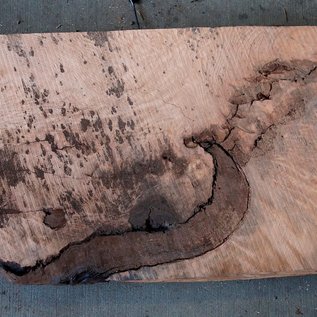 Redwood burl, approx. 1250 x 520 x 70 mm, 60802