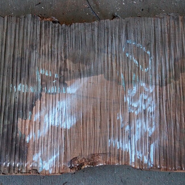 Redwood Maser, ca. 950 x 400 x 65 mm, 60808