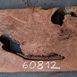 Redwood burl, approx. 1040 x 500 x 45 mm, 60812