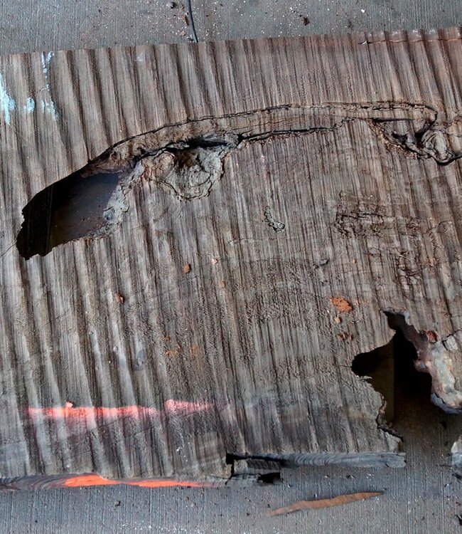 Redwood Maser, ca. 1040 x 500 x 45 mm, 60812