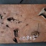Redwood burl, approx. 880 x 600 x 60 mm, 60815