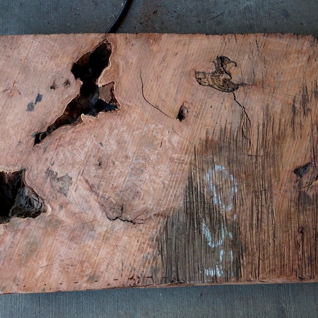 Redwood burl, approx. 880 x 600 x 60 mm, 60815