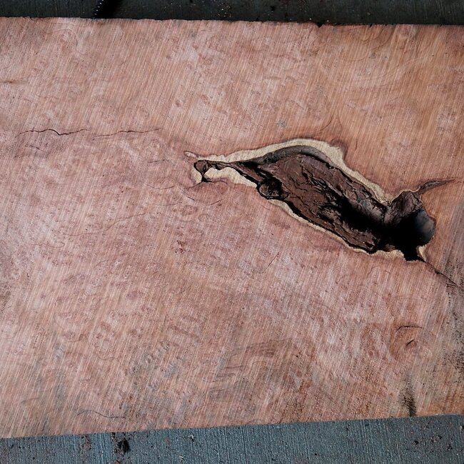 Redwood burl, approx. 950 x 420 x 75 mm, 60817