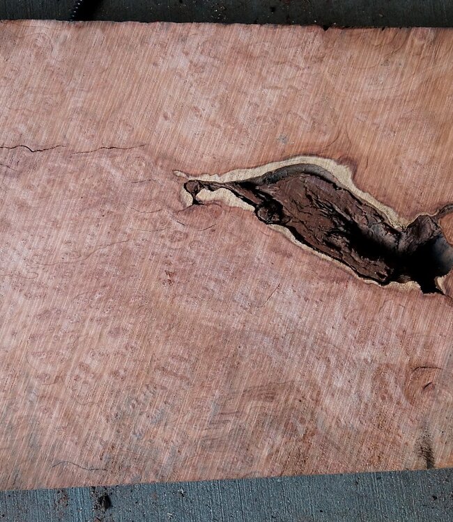 Redwood Maser, ca. 950 x 420 x 75 mm, 60817