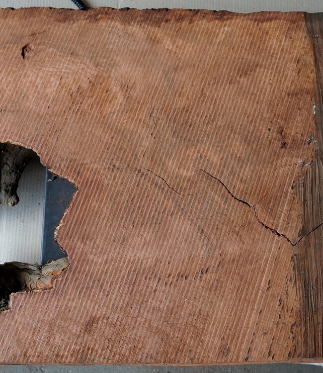 Redwood burl, approx. 1100 x 580 x 80 mm, 60818
