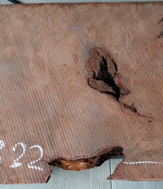 Redwood burl, approx. 1200 x 520 x 52 mm, 60822