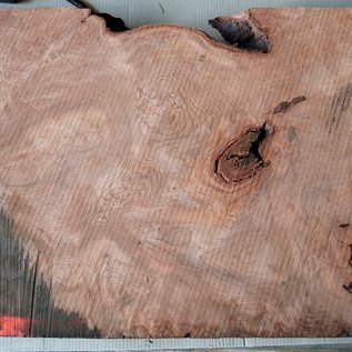 Redwood burl, approx. 1200 x 520 x 52 mm, 60822