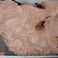 Redwood burl, approx. 1200 x 520 x 52 mm, 60822