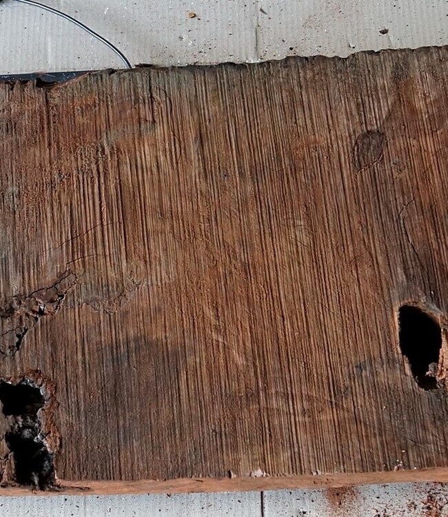 Redwood burl, approx. 1200 x 340 x 50 mm, 60831