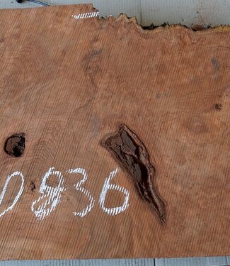 Redwood Maser, ca. 950 x 470 x 50 mm, 60836