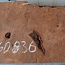 Redwood Maser, ca. 950 x 470 x 50 mm, 60836
