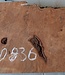 Redwood Maser, ca. 950 x 470 x 50 mm, 60836