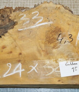 Golden Madrone gemasert, ca. 330 x 230 x 58 mm, 4,2 kg