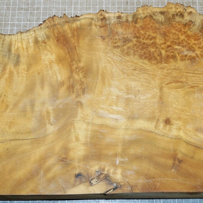 Golden Madrone gemasert, ca. 330 x 230 x 58 mm, 4,2 kg