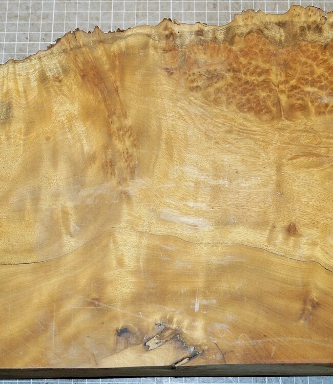 Golden Madrone gemasert, ca. 330 x 230 x 58 mm, 4,2 kg