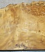 Golden Madrone burl, approx. 330 x 230 x 58 mm, 4,2 kg