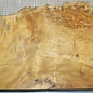 Golden Madrone burl, approx. 330 x 230 x 58 mm, 4,2 kg