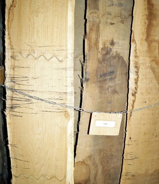 Oak, lumber, kiln dried, 26, 35, 52, 65 mm