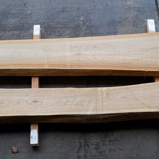 Dutch elm lumber, kiln dried