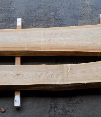 Dutch elm lumber, kiln dried