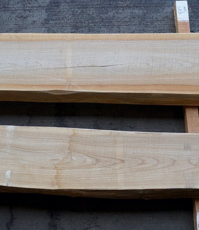 Dutch elm lumber, kiln dried