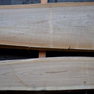 Dutch elm lumber, kiln dried