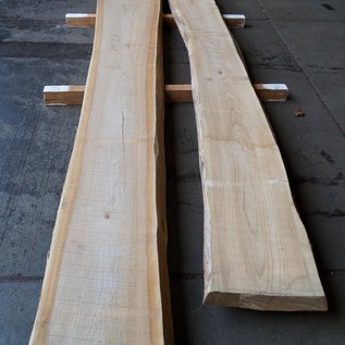 Dutch elm lumber, kiln dried