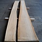 Dutch elm lumber, kiln dried