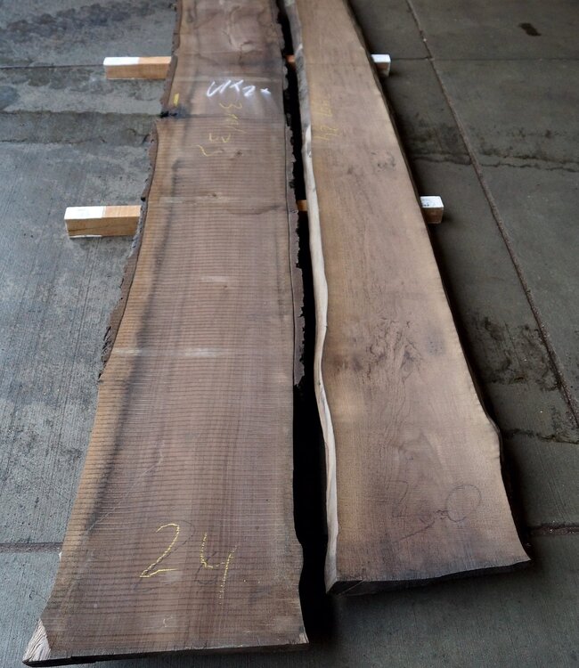 Black Walnut Schnittholz, künstl. getrocknet 26, 35, 52, 65 mm