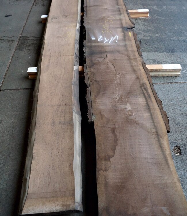 Black Walnut, lumber, kiln dried, 26, 35, 52, 65 mm