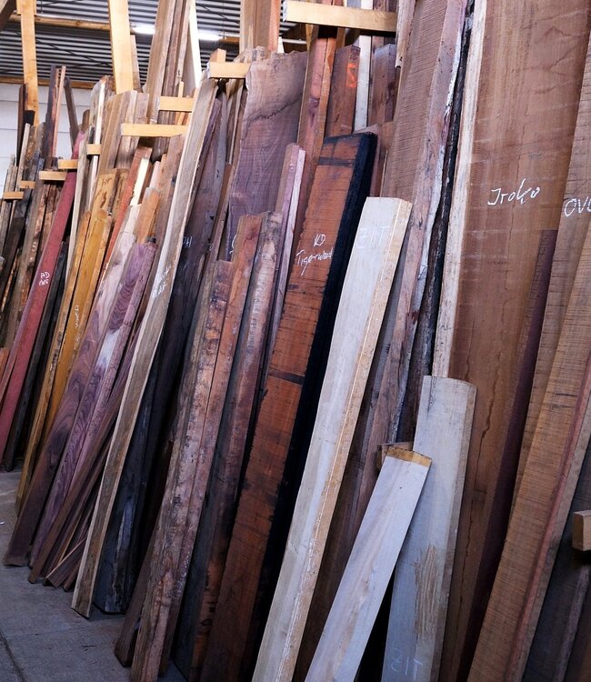 Dutch elm lumber, kiln dried