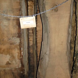 EU Nussbaum Schnittholz, künstl. getrocknet 26, 35, 52, 65 mm