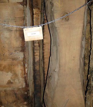 Europ. Walnut, lumber, kiln dried, 26, 35, 52, 65 mm