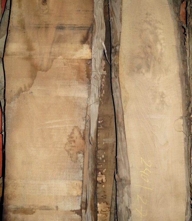 Walnut, lumber, kiln dried, 26, 35, 52, 65 mm  - Copy