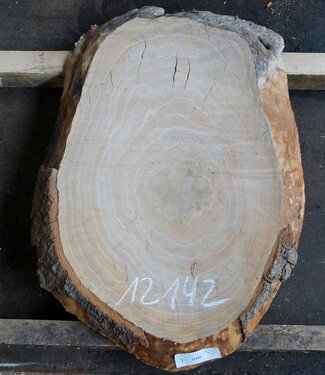 Beech, table top approx. 850 x 550 x 52 mm, 12142