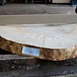 Beech, table top approx. 1050 x 800 x 52 mm, 12140