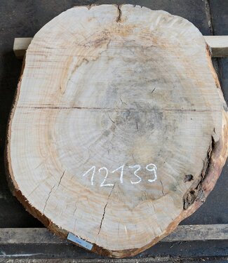 Beech, table top approx. 1100 x 800 x 52 mm, 12139