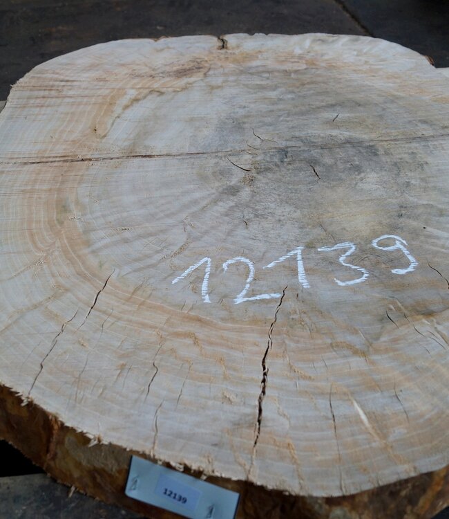 Buche Tischplatte, ca. 1100 x 800 x 52 mm, 12139