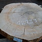 Beech, table top approx. 1100 x 800 x 52 mm, 12139