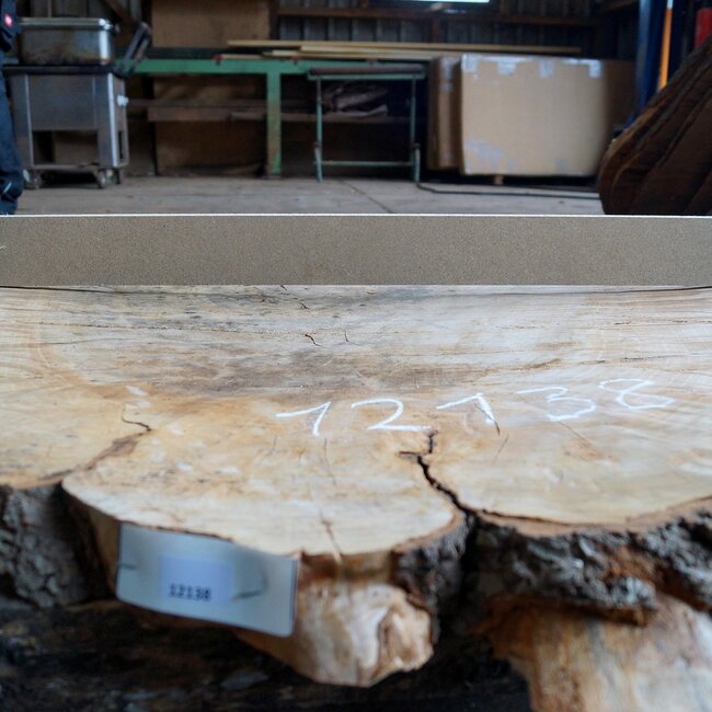 Beech, table top approx. 1100 x 900 x 52 mm, 12138