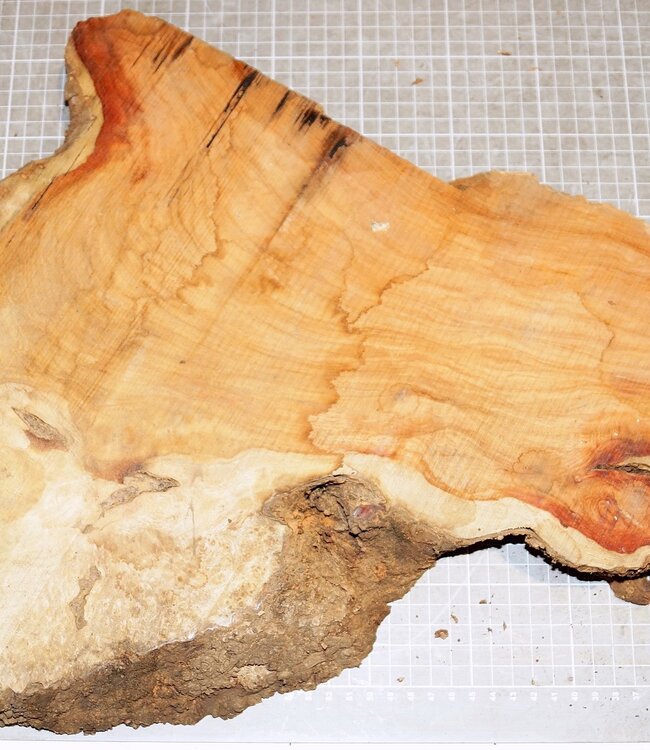 Amboina Maser, ca. 370 x 350 x 35 mm, 2,1 kg