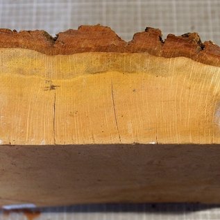 Oak burl, approx. 300 x 280 x 80/35 mm, 4,1 kg